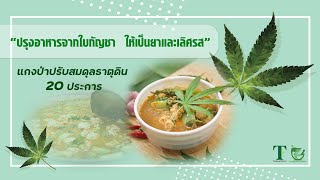 ปรุงอาหารจากใบกัญชา ให้เป็นยาและเลิศรส เมนู \