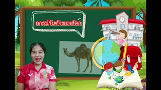 การปรับตัวของสิ่งมีชีวิต  วิชาวิทยาศาสตร์  ชั้น ป.5