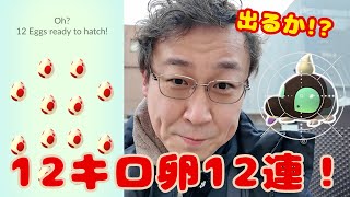 出るか!?シルシュルー!? 12キロ卵12連！したっぱの手持ちについても話してます！【ポケモンGO】