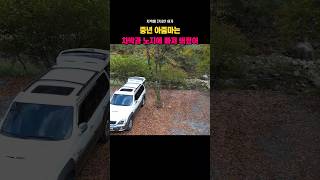 🚙 중년의 아줌마가 즐기는 노지 차박 #차박 #중년여성차박 #노지차박 #carcamping