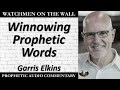 “Winnowing Prophetic Words” – Powerful Prophetic Encouragement from Garris Elkins