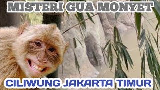 MISTERI GUA MONYET || CONDET CILIWUNG || JAKARTA TIMUR