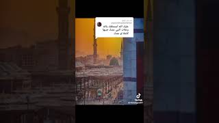 رشفات من الحب