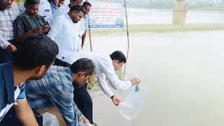 ବାଲେଶ୍ୱରରେ ଅନୁଷ୍ଠିତ ହେଲା ବୁଢ଼ାବଳଙ୍ଗ ନଦୀରେ ଆଙ୍ଗୁଳିକା ମତ୍ସ୍ୟ ଯାଆଁଳ ଛାଡିବା କାର୍ଯ୍ୟକ୍ରମ