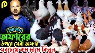 অফারের উপরে সেরা অফার লুফে নিন || সবচেয়ে কম দামে কবুতর কিনুন || খুবই সিমিত দামে ফেন্সি কবুতর বিক্রি