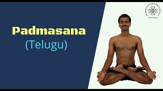 Padmasana in Telugu