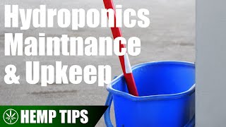 Cleaning and Maintaining a Hydroponic System
