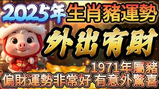 2025年生肖豬運勢🐷 在外出活動中將能夠獲得不少財富機會👌 1971年屬豬偏財運勢非常好 有意外驚喜 #生肖 #運勢 #命理 #開運