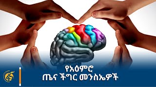 የአዕምሮ ጤና ችግር መንስኤዎች