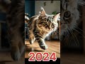 2024 Cat vs 5000 BCE old cat