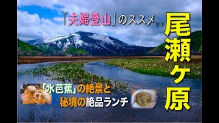 【登山動画】水芭蕉咲く絶景の「尾瀬ヶ原」と秘境の絶品ランチ👍