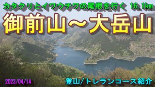 【登山/トレラン】御前山～大岳山　カタクリとイワウチワの尾根を行く　16.1km