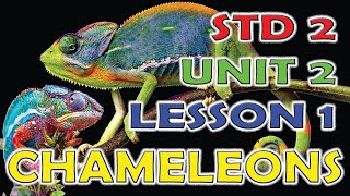 Standard 2 Chameleons | Std 2 Unit 2 Lesson 1 Chameleons poem with 💥 ANIMATION 🎉