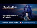 faça essas 5 coisas antes de dormir sadhguru português