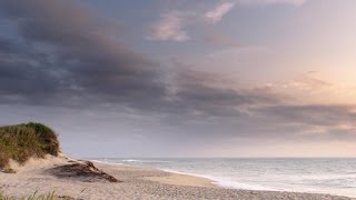Nature: Cape Cod