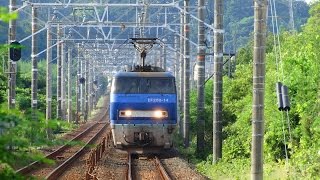 2015/08/21 JR貨物 貨物列車1071レ 代走EF200-14[吹]号機牽引 東海道本線