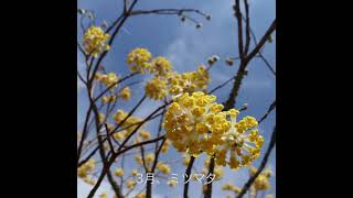 日光植物園