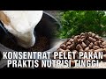 Konsentrat Pelet Pakan Praktis Nutrisi Tinggi