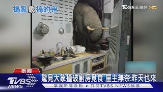 驚見大象撞破廚房覓食 屋主無奈:昨天也來｜TVBS新聞