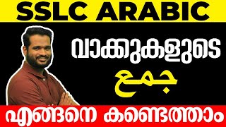 SSLC Arabic | വാക്കുകളുടെ  جمع  എങ്ങനെ കണ്ടെത്താം 💯