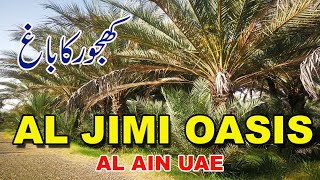 AL Jimi Oasis AL Ain UAE | Al Jimi Oasis |کھجور کا باغ