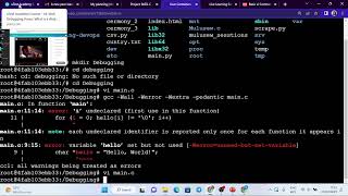 0x03 C Debugging ALX, choice explanation