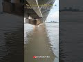 ganga river flood in farrukhabad 🌊😱 गंगा नदी का प्रकोप 😱 ganga farrukhabad farrukhabadvibes