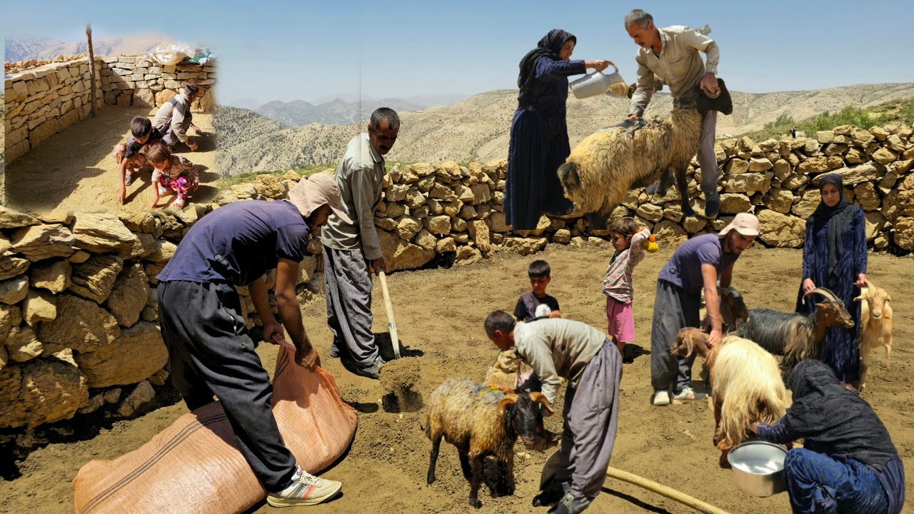 рџњ в пёџnomadic Life Sheep Washing Nomad Style рџђ Nomadic Milking Routineрџґ