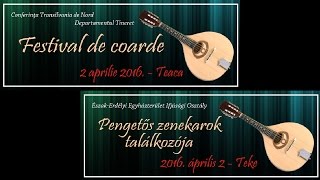 Festivalul coardelor - Pengetős találkozó, 2016 (I)