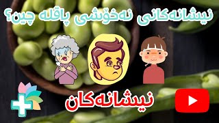 نیشانەکانی نەخۆشی پاقلە چین؟ - نیشانەکان