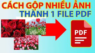 Cách Gộp Nhiều Ảnh Thành 1 File Pdf