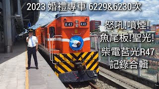 2023 柴電莒光 重出江湖!!! 婚禮專車 6229+6230次 九曲堂/屏東/西勢/新左營/枋寮南 記錄合輯