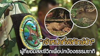 'เจ้าหน้าที่พิทักษ์ป่า' ผู้ที่ยอมสละชีวิตเพื่อปกป้องธรรมชาติ