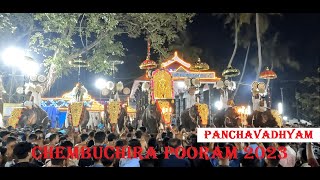 Chembuchira Pooram #panchavadhyam #aana #elephant #pooram #thrissur #aanapremi