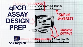 qPCR Assay Design Prep - Ask TaqMan #36