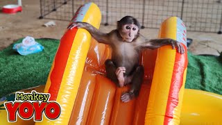 YoYo JR plays with the new swimming pool