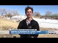 snow sledding in levelland at lobo lake