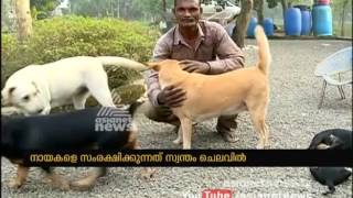 A family from Thrippunithura saves and feeds Stray Dogs