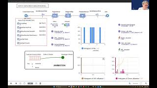 ACG AnyLogic Simulation Model