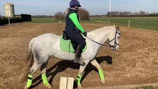 Charlotte Bellamy riding Shooting Star. Novice dressage to music February 2021 - E Riders online