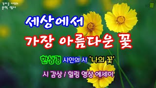 [힐링 문학] 한상경 시인의 시 ‘나의 꽃’과 함께하는 영상 에세이 / 세상에서 가장 아름다운 꽃 / 공감 위로 성원의 시와 에세이