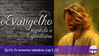 O Evangelho seg. o Espiritismo [Ep35] Os tormentos voluntários (cap V, 23)