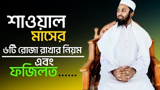 শাওয়াল মাসে রোজা রাখার নিয়ম কি এবং ফজিলত কি | শাওয়ালের ৬টি নফল রোজা