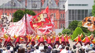 [4K] 肥後真狗舞～九州がっ祭～　YOSAKOIソーラン祭り 2023 日曜日