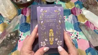 Tarot Deck Flip Through: Forager's Daughter Tarot: Afterlight Edition Deck by Jessica Lei Howard