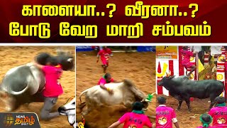 காளையா..? வீரனா..?போடு வேற மாறி சம்பவம் | Alanganallur Jallikattu 2025 | Newstamil24x7