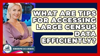 What Are Tips For Accessing Large Census Data Efficiently? - Demographic Data Answers