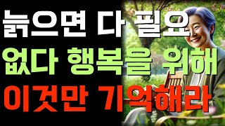 늙으면 다 필요없다 행복을 위해 이것만 기억해라 | 노자 | 오디오북 | 인생조언 | 노후준비 | 좋은글 | 고요한 가르침.반복