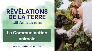 Écouter les voix silencieuses : La Communication Animale nous guide vers une connexion sacrée