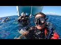 honolulu s sea tiger wreck scuba exploration vlog 614